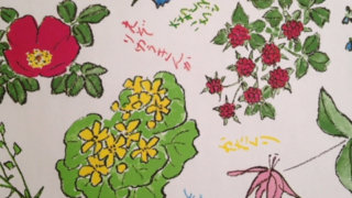 六花亭の包装紙