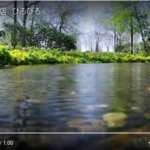 気になる六花亭のCM