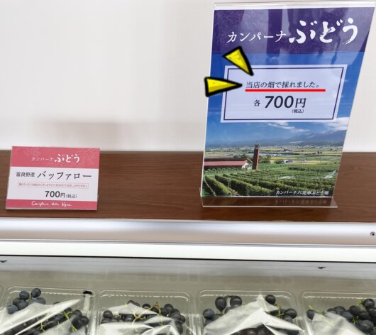 カンパーナ六花亭で採れたぶどうです!(2025年8月)