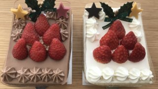 ホワイトツリーとショコラツリー実物