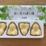 白い花の咲く頃