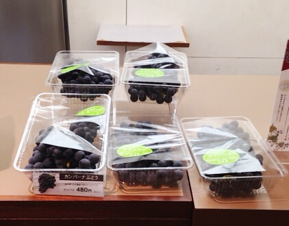 カンパーナぶどう(大昔はめちゃくちゃ安い!)